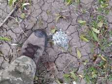 IMG_20220928_083145_371