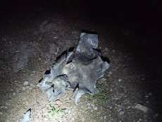 IMG_20221012_073005_419