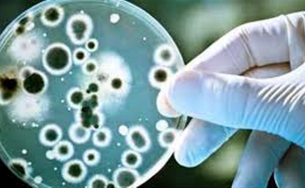 Желтые Воды остались без воды: допустимые нормы превышены в 25-28 раз: подробности
