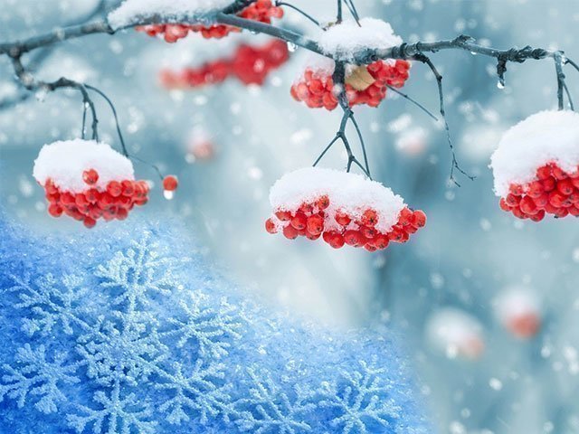 В Днепре обещают снег