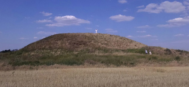 Аграриев, которые распахали курганы под Днепром, ждет суд