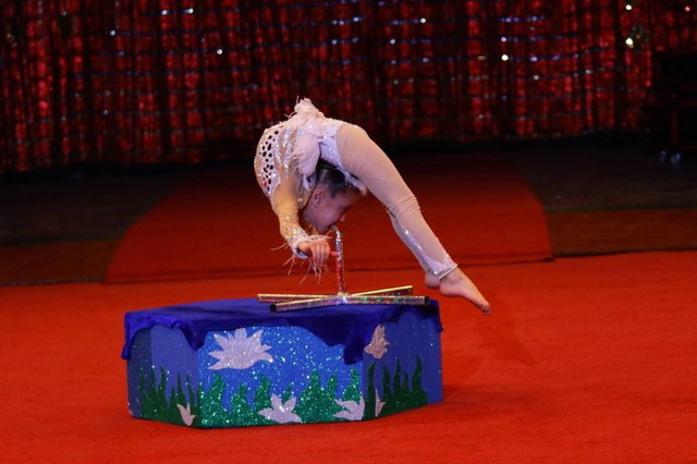 В Днепровском цирке первоклассница из Запорожья установила рекорд Украины (ВИДЕО)