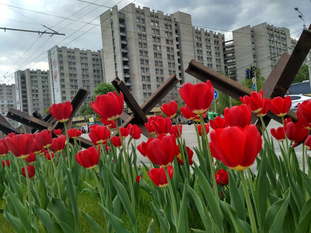 “Будем жить!” – Геннадий Корбан запустил цветочный флешмоб в соцсетях (фото)