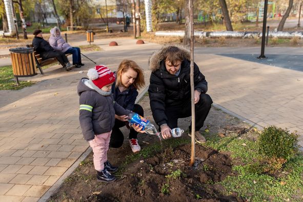 У Дніпрі в сквері на Калинівському (Клочко-6) з’явилися родинні дерева. Фото