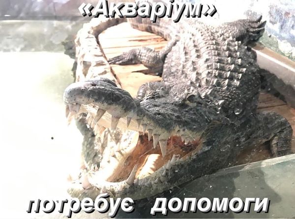 “Акваріум” у Дніпрі потребує допомоги