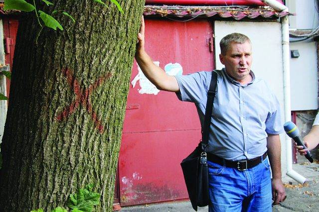 Хто ставить хрест на дереві