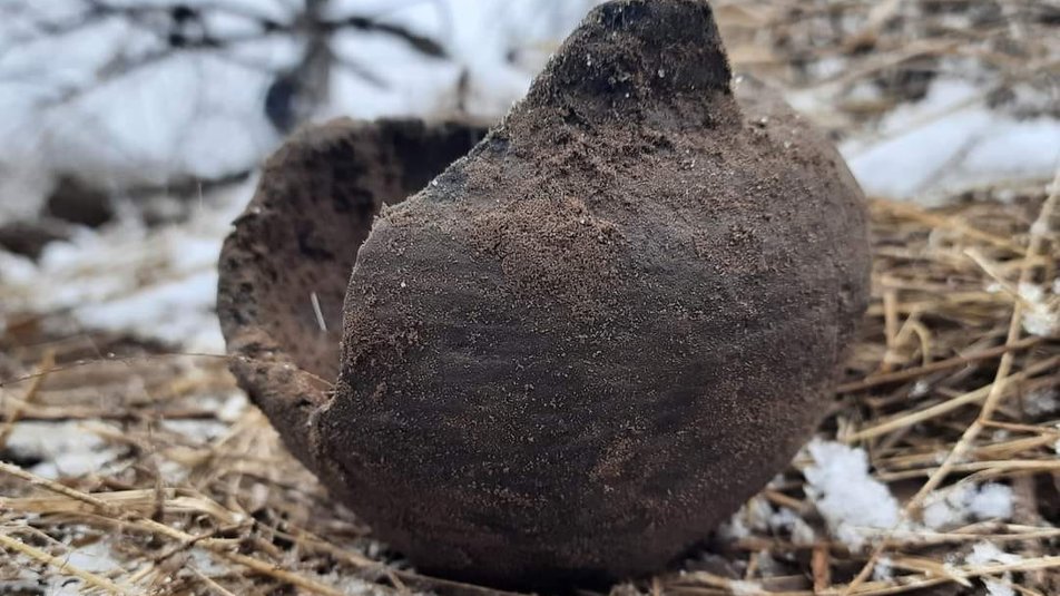 На Днепропетровщине тероборона рыла окопы и нашла исторический артефакт