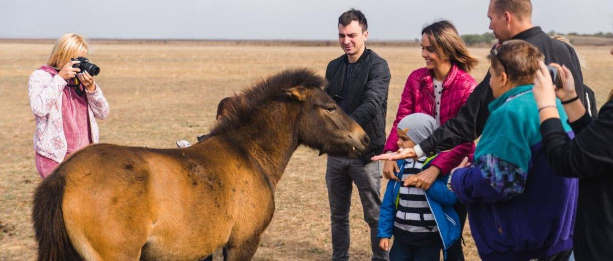 Коронавирус: когда откроется заповедник Аскания-Нова — пояснение экспертов