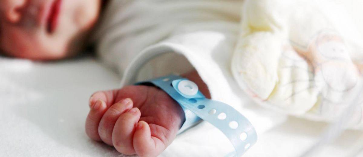 Новорожденного нашли в лесу в коробке