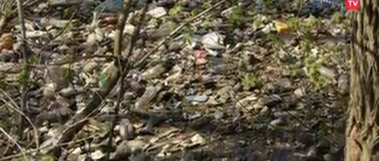 Хто відповідальний за засмічення водойми на ж/м Тополя (ВІДЕО)