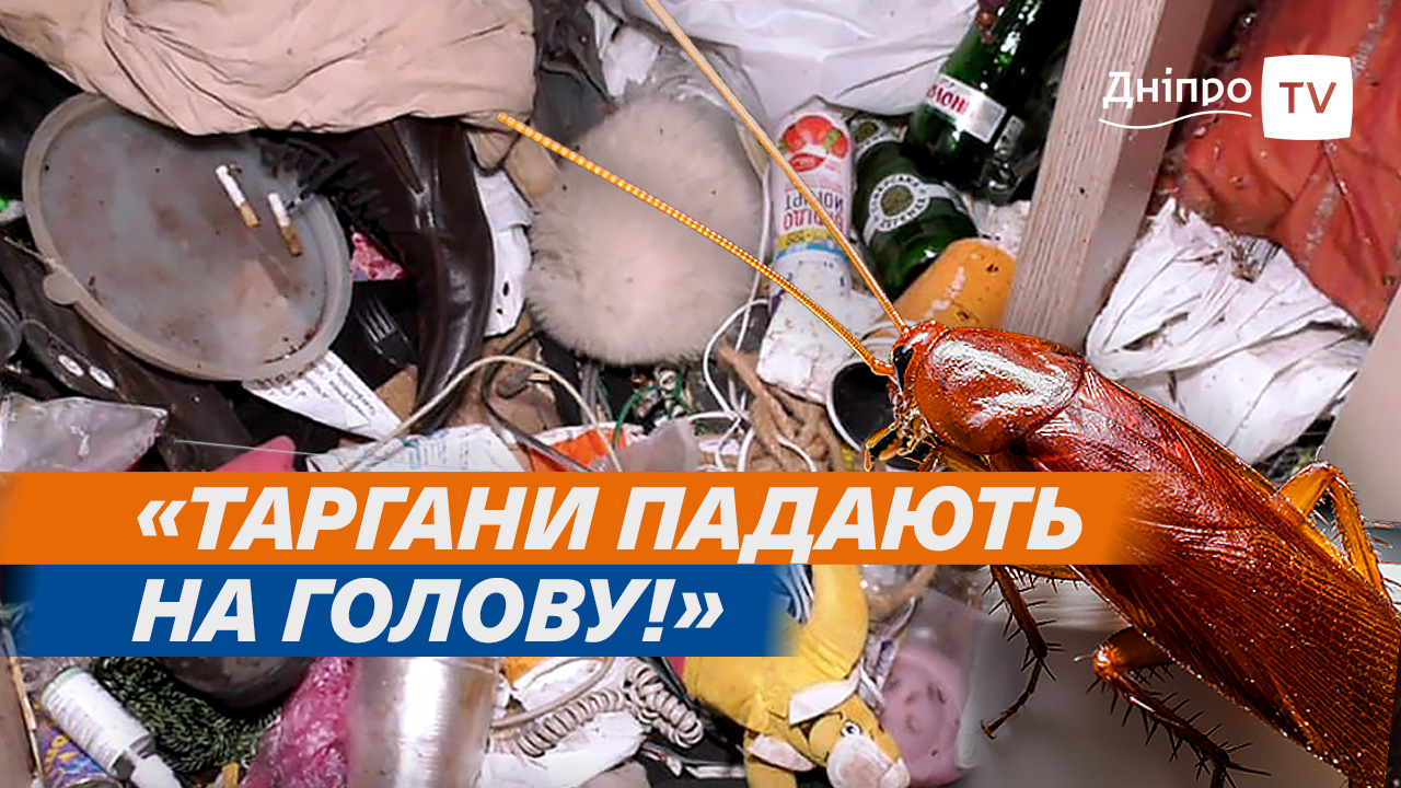У Дніпрі в парку Зелений Гай відкрили будинок «Догори дриґом»