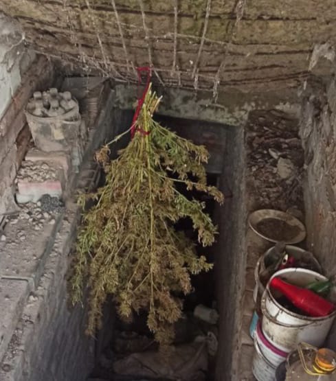 На Дніпропетровщині вдома у чоловіка знайшли понад 150 кущів коноплі