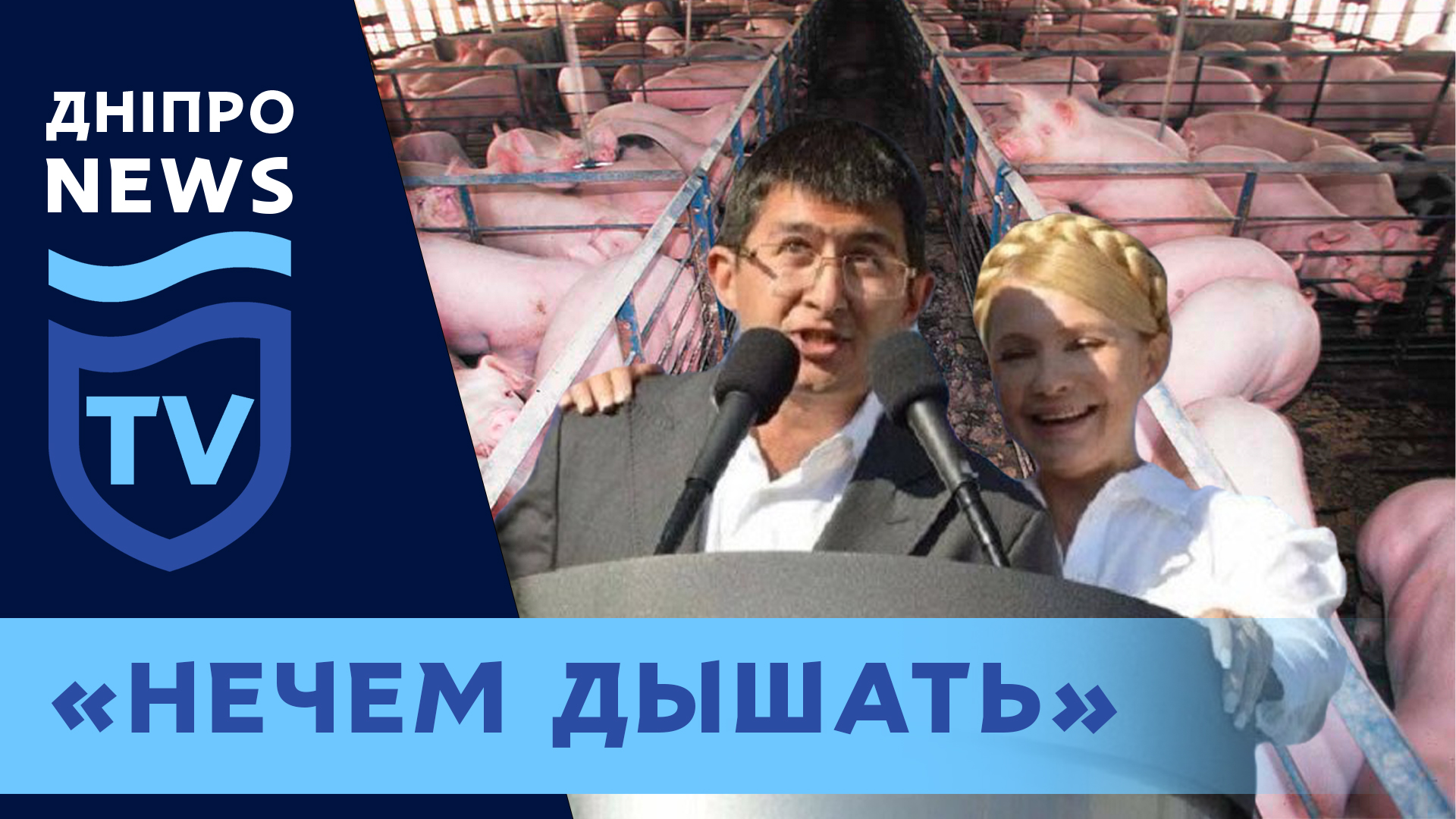 Под Днепром представитель «Батьківщини» отравляет жизнь соседям  