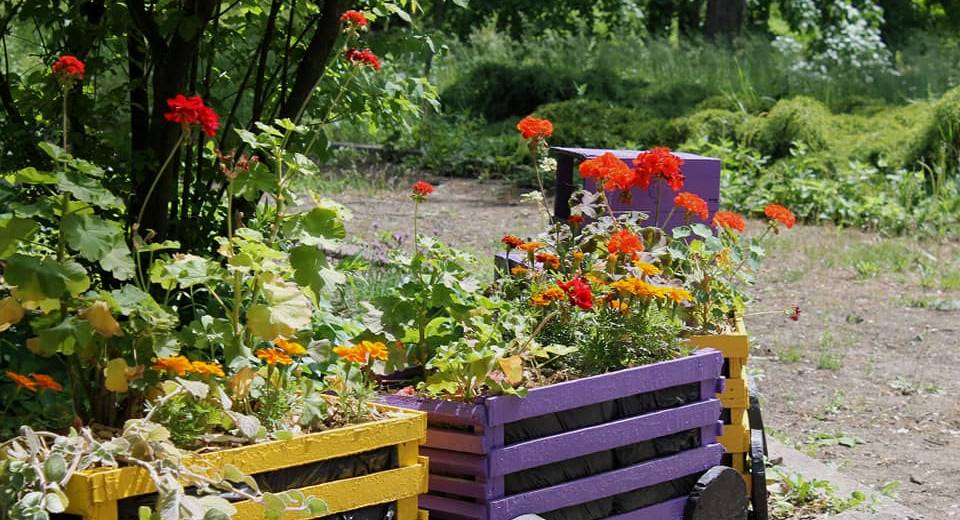 В Днепре ботсад ДНУ открыли для посетителей (ФОТО)