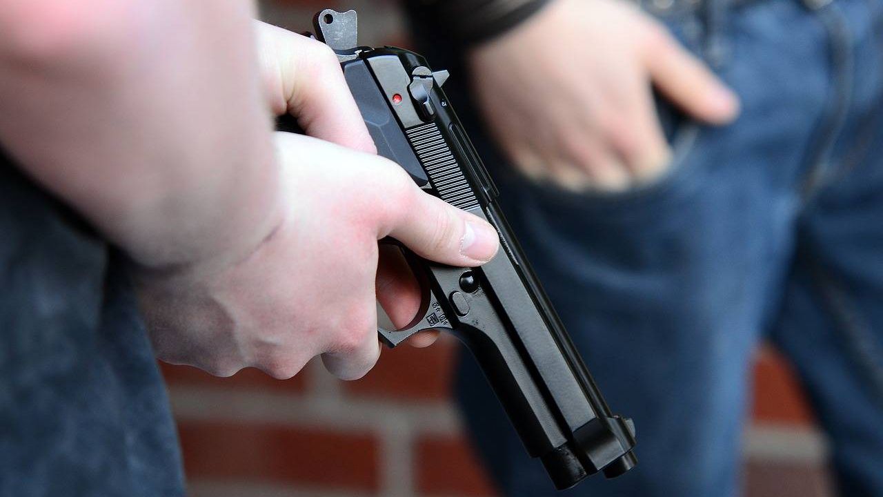 В це складно повірити, але це відбувається – Грішин про легалізацію зброї