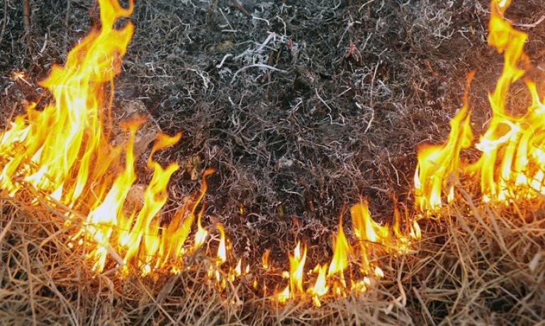 На Днепропетровщину возвращается чрезвычайная пожарная опасность