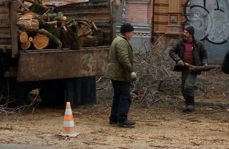 Днепровские дровосеки добрались до Солнечного: фото