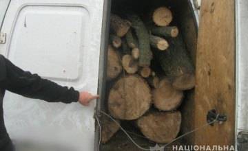 На Днепропетровщине задержали «черных» лесорубов