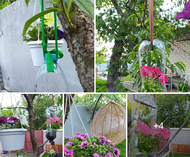 У місті стартував флешмоб «#Дніпро_квітуче»