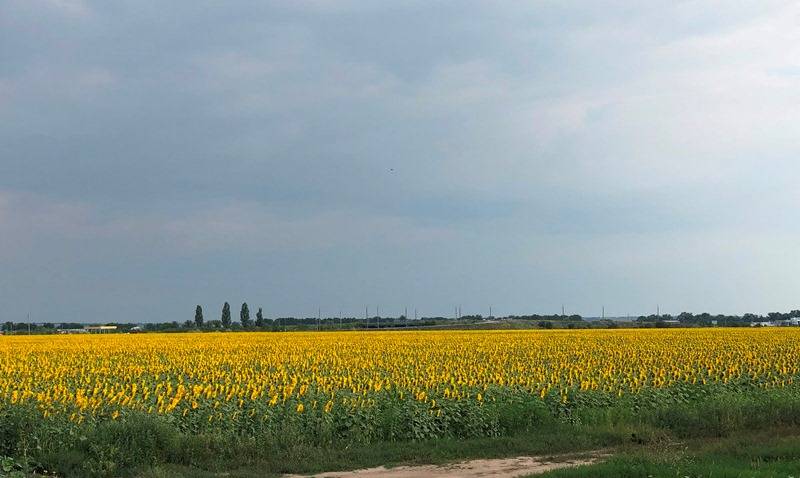 На Дніпропетровщині — надзвичайна пожежна небезпека