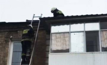 В Днепре целый спасотряд снимал с крыши кота (ВИДЕО)
