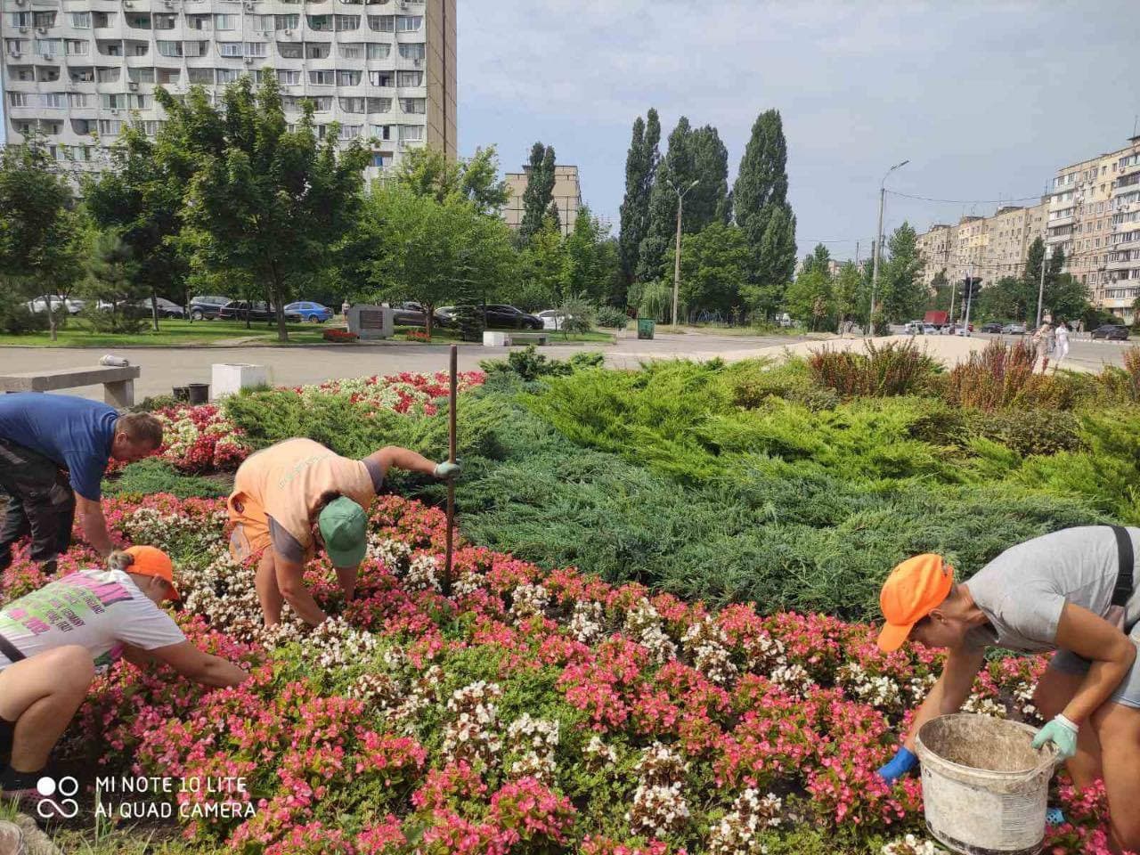 Дніпро квітучий: содержание зеленых зон на улицах города