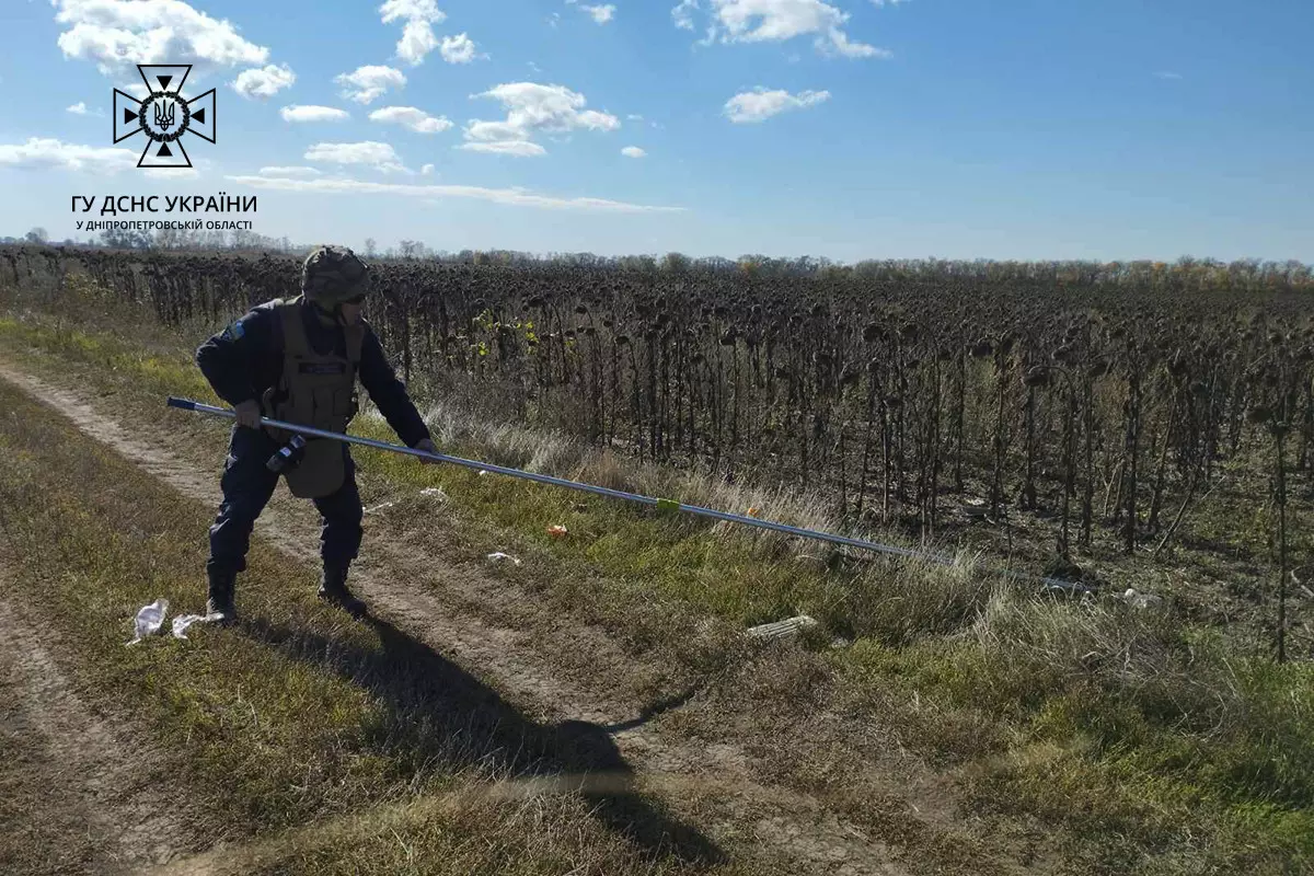 Піротехніки Дніпропетровської області знищили 31 одиницю сучасних протипіхотних фугасних мін