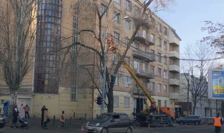 У Дніпрі прибрали аварійне дерево. Відео