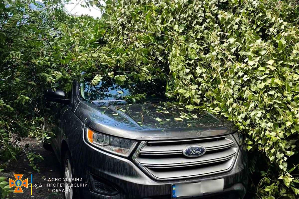 У центрі Дніпра дерево впало на автомобіль. Фото