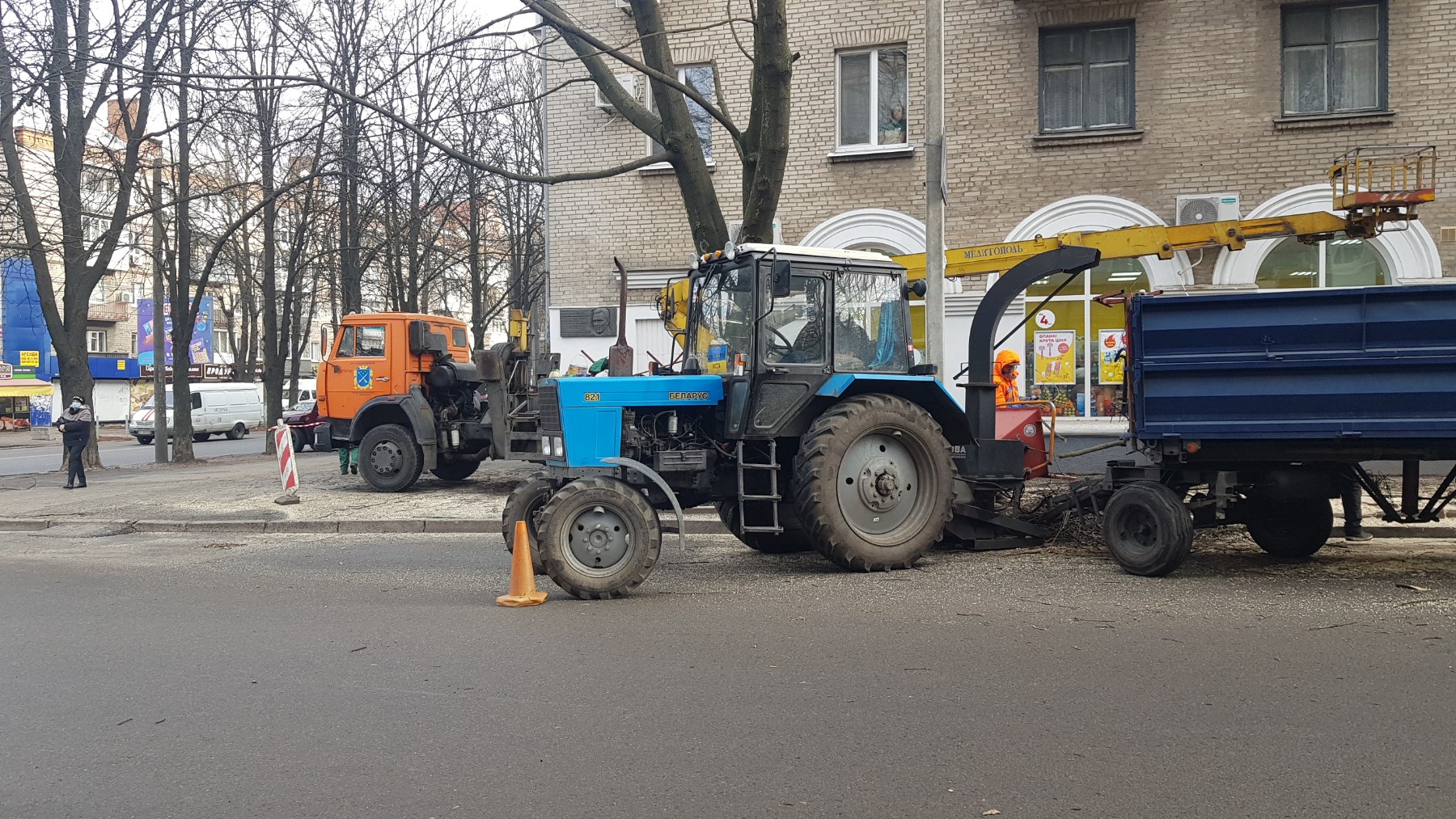 В Днепре улицы и парки очищают от аварийных деревьев (ФОТО, ВИДЕО)