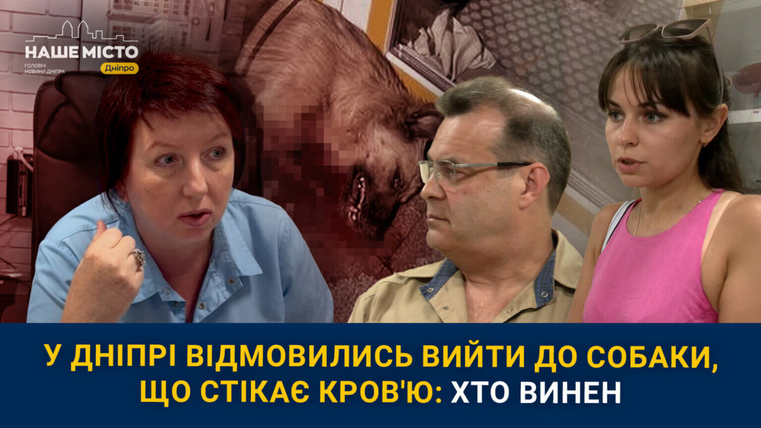 У Дніпрі під час вибухів ветклініка відмовилась лікувати стікаючу кров’ю собаку: хто винен