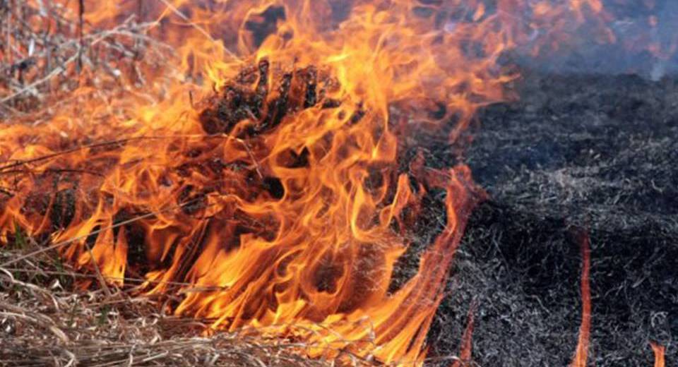 За спалення сміття можуть оштрафувати на 1700 грн