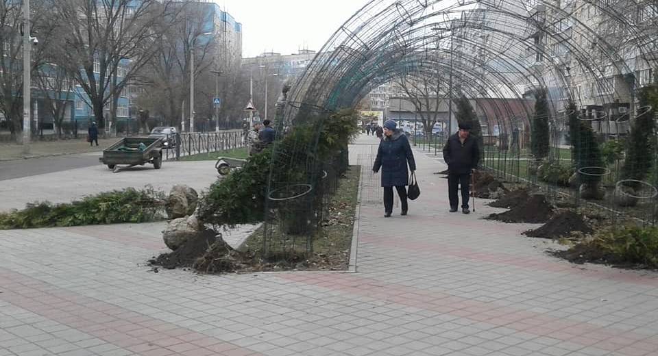 В Днепре на ж/м Парус высадили новые туи (ФОТО)