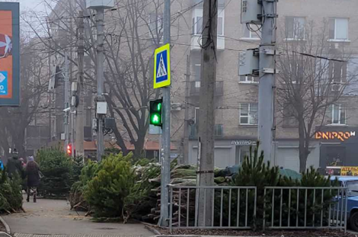 Где в Днепре можно будет купить легальную елку (АДРЕСА)