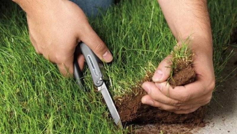 Днепровский Госгеокадастр остался без руководителя. Наводят порядок?