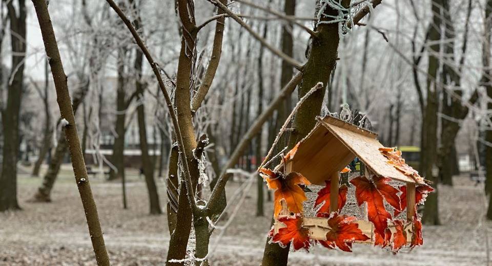 У Дніпрі в парку Гагаріна з’являться особливі годівнички