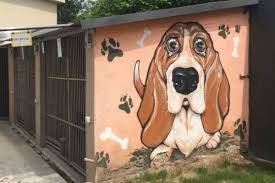 Жители Днепра просят построить приют для животных