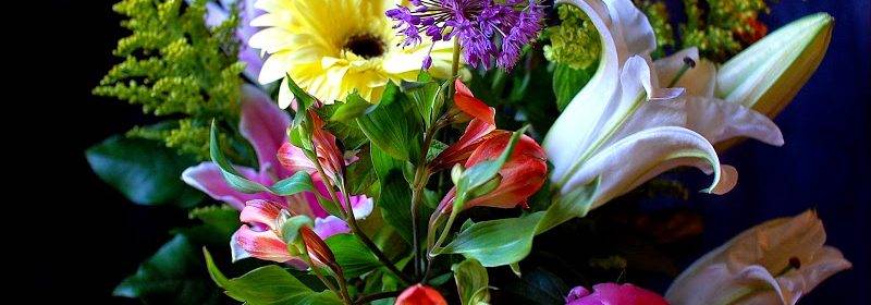 В Днепре пройдет фестиваль цветов «DNIPRO FLOWER SHOW 2017»