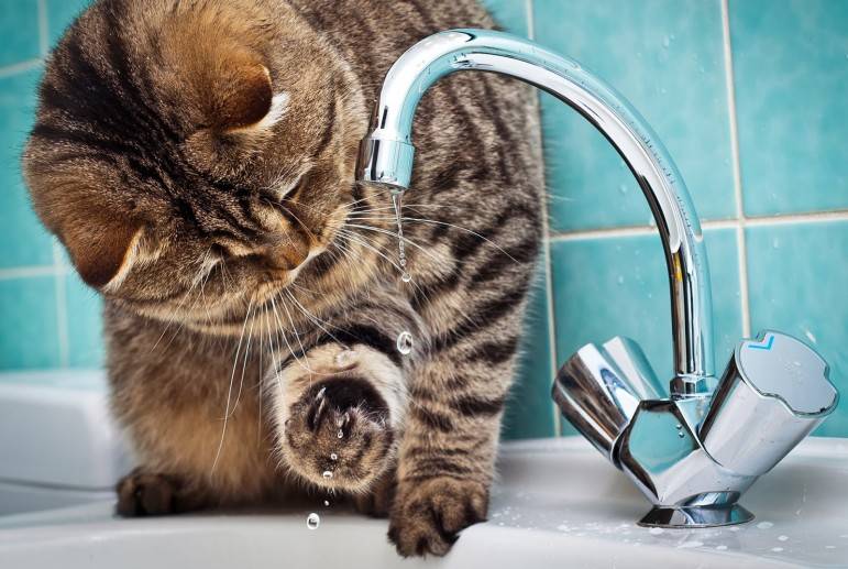 У Дніпрі знову віключать воду