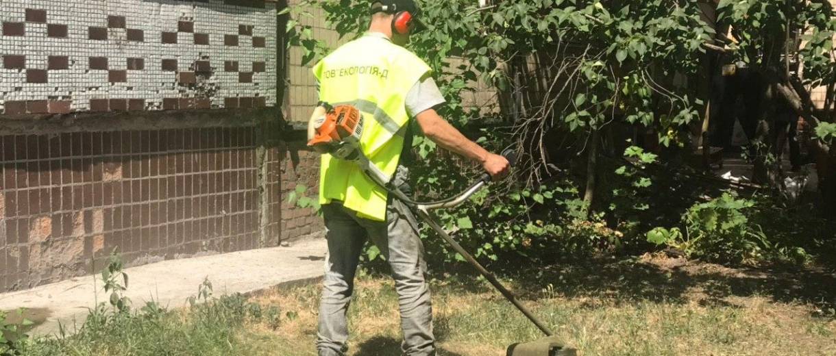 В Днепре ведется активная борьба с амброзией и другими видами карантинных трав (ВИДЕО, ФОТО)