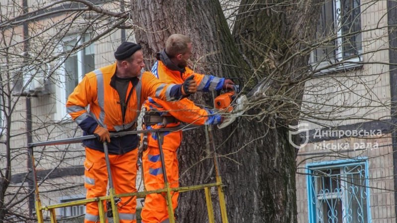 Для безпеки дніпрян: «Міськзеленбуд» видалив сухі дерева, які могли травмувати містян