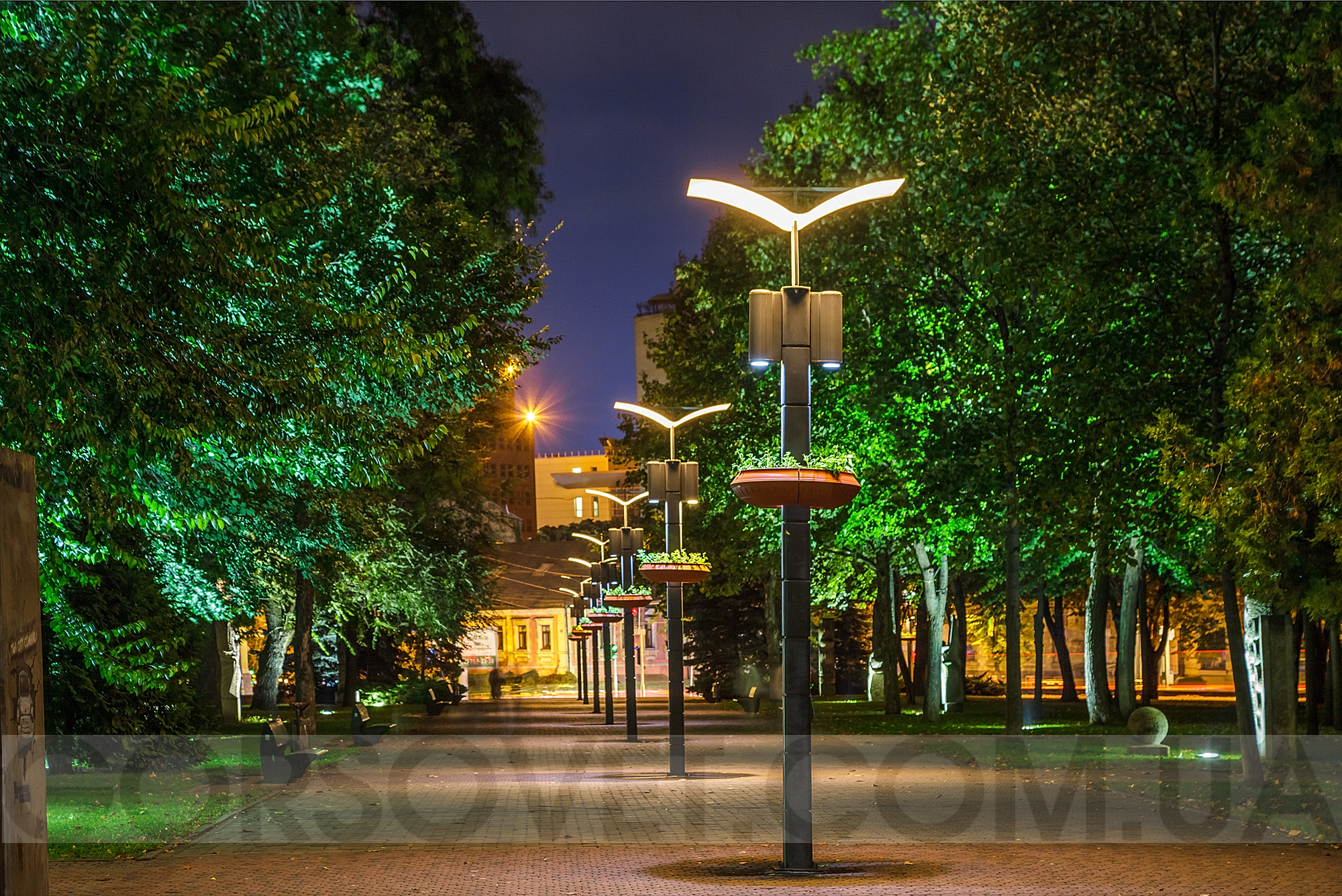 Романтично и совсем необычно: в Днепре в сквере Героев появились цветочные фонари (ФОТО)