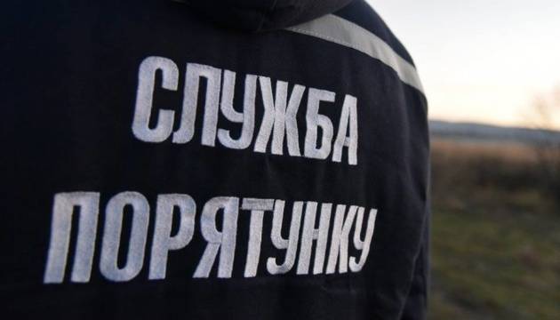 В Днепре спасатели освободили из ловушки двух котят (ВИДЕО)