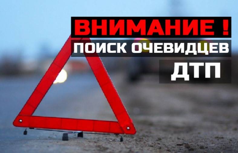 Сбил подростка и собаку: в Днепре полицейские ищут свидетелей аварии на Игрени