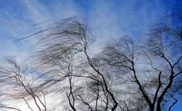 В Днепре и области объявлено штормовое предупреждение