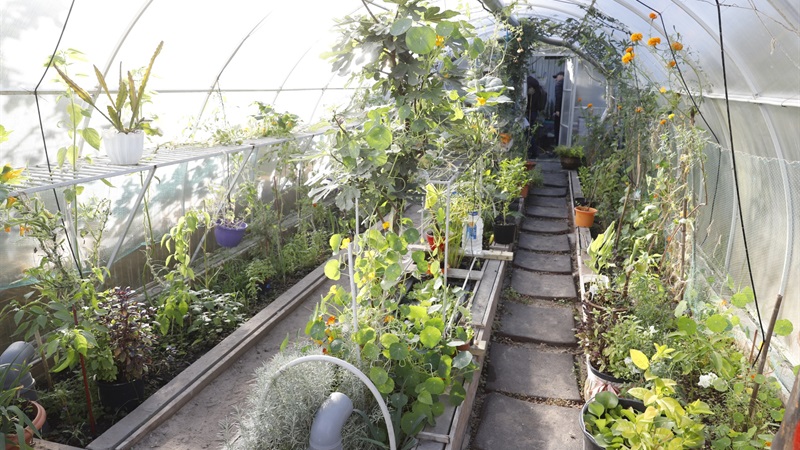 Не сжигать, а компостировать: днепрян призвали к правильному обращению с сухими листьями, травой, ветками