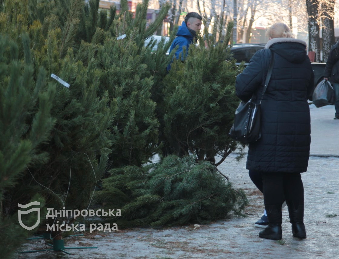 Ялинкові базари: де в Дніпрі працюватимуть