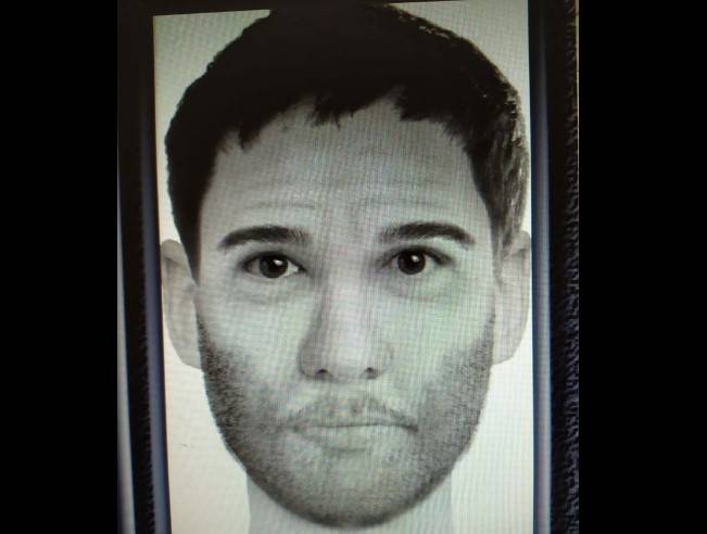 В Днепропетровской области разыскивают насильника школьниц