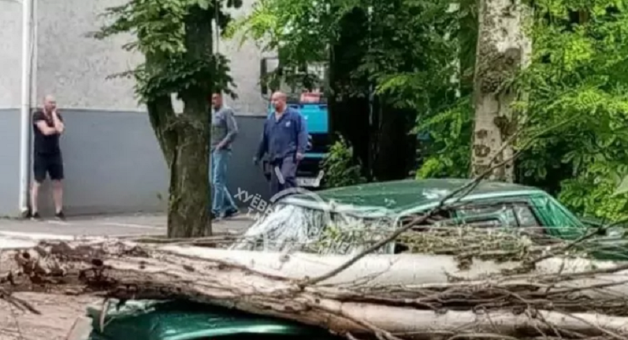 Чудом не погибли муж и жена: в Марганце дерево упало на проезжающую машину, которая могла взорваться (ВИДЕО)