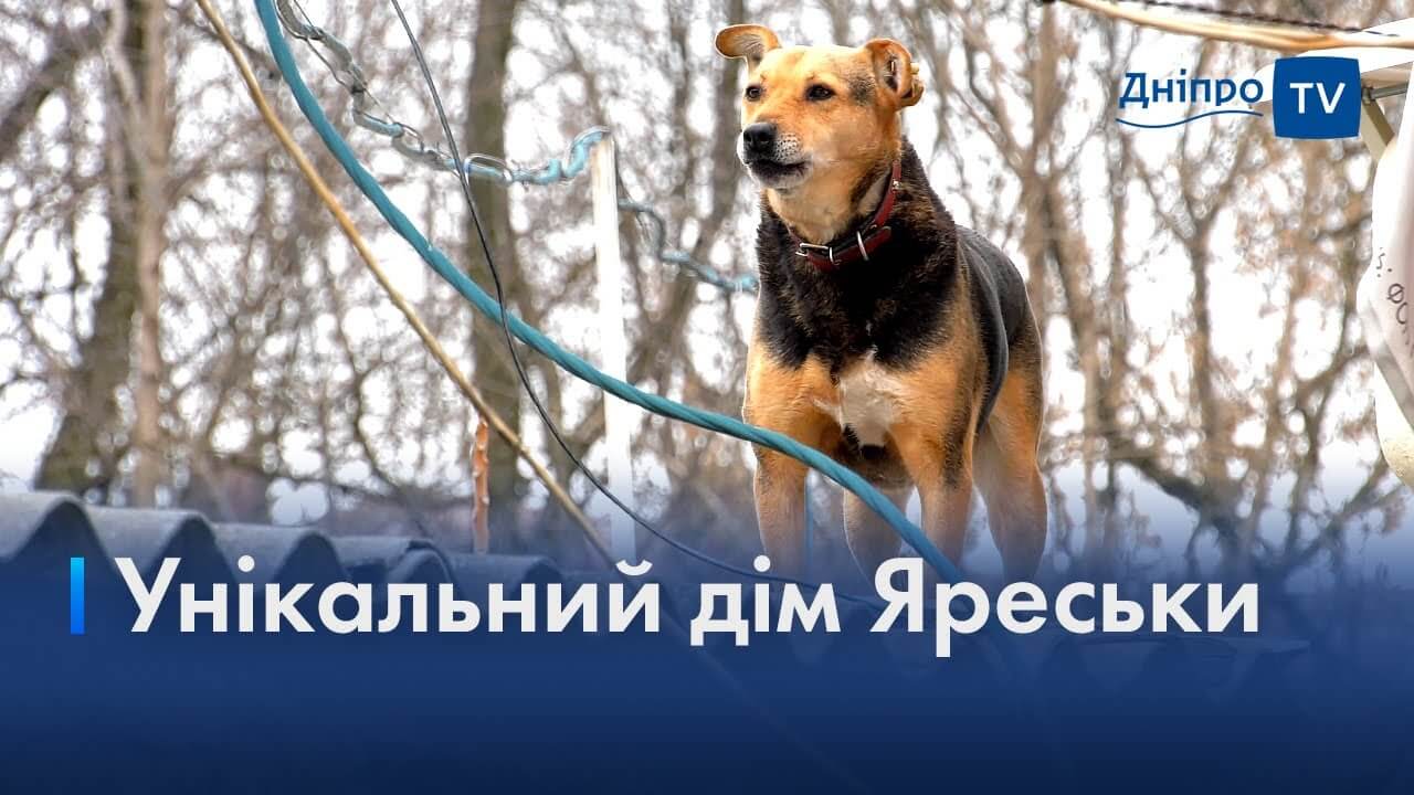 Унікальний дім Яреськи: у Дніпрі собака живе на даху гаража